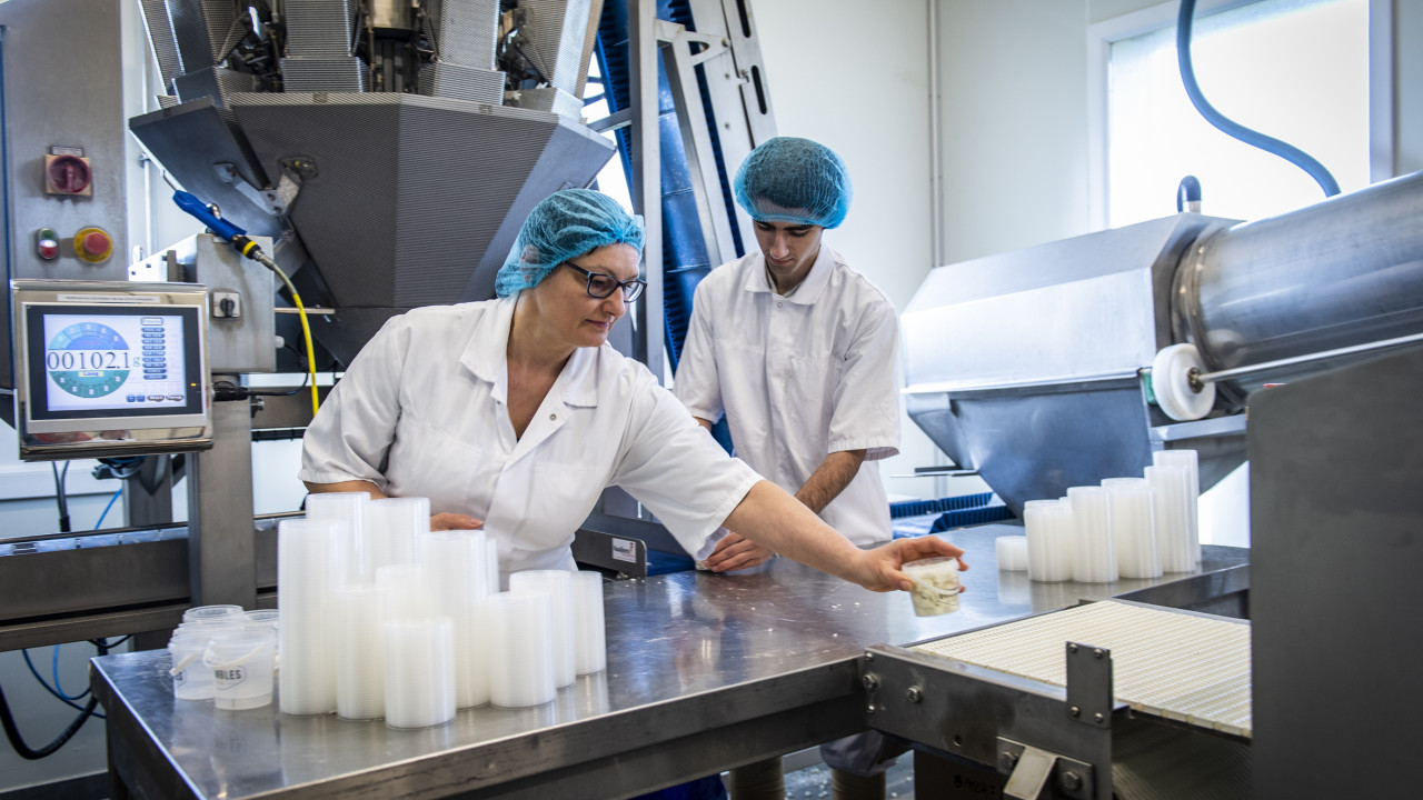 DeJong Cheese Alphen (NB) afbeelding 6